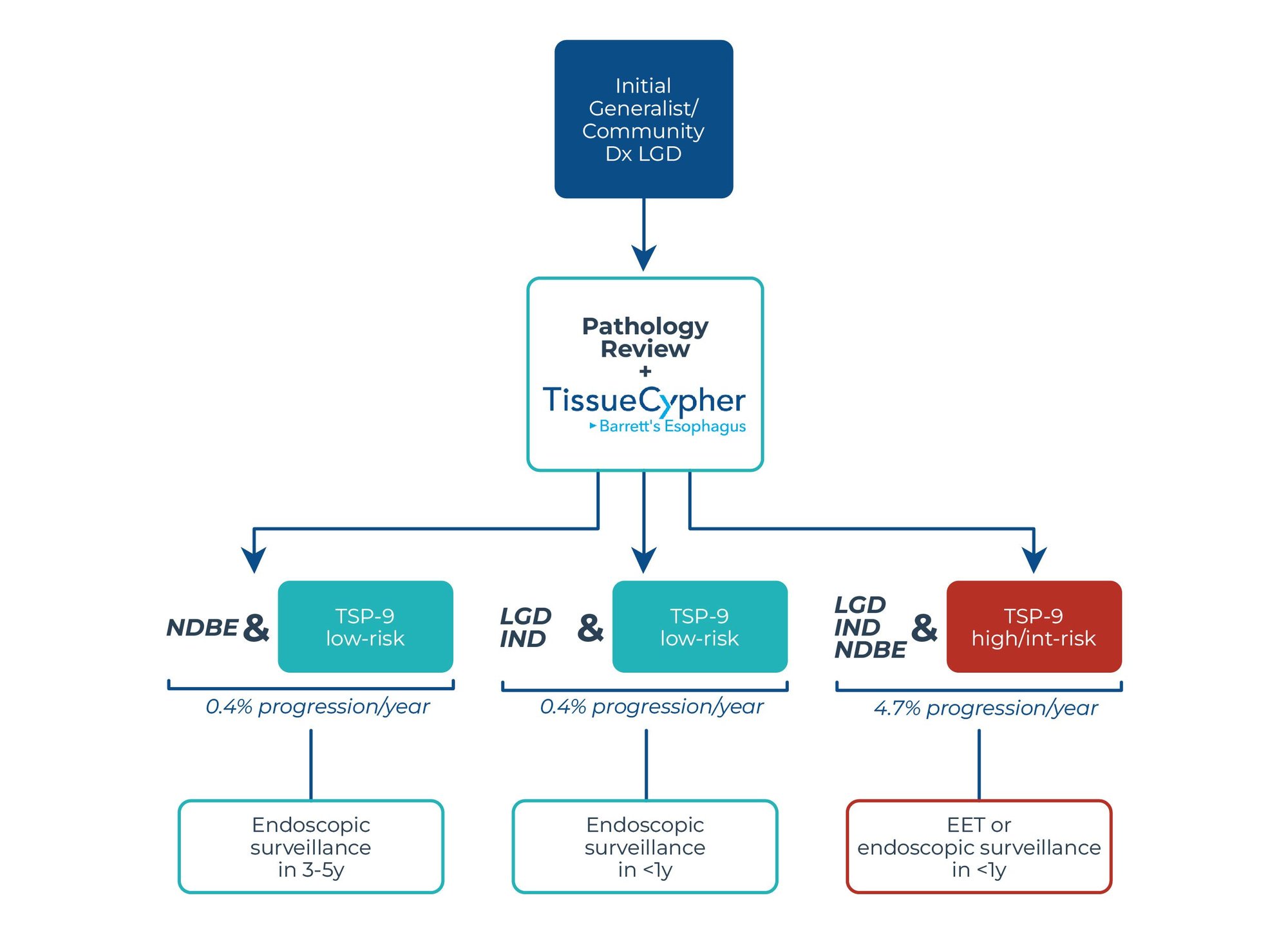 TC_CAS0034_Website-Graphic-Updates-Risk-Stratification_R1-Fig-3-02