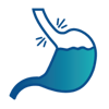 Stomach and esophagus illustration